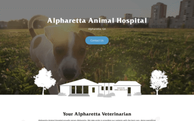 10 Best Alpharetta Web Design Examples for Businesses